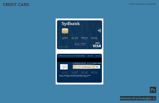 Beispielvorschau der dänischen Sydbank Visa Debitkarte